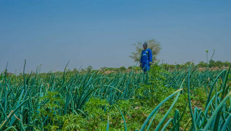 A Makalingai, dans le nord du Cameroun.