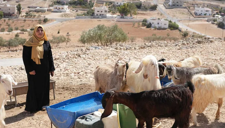 The project aims to promote the economic empowerment of vulnerable Syrian and Jordanian smallholder farmers and agricultural workers in Jordan.
