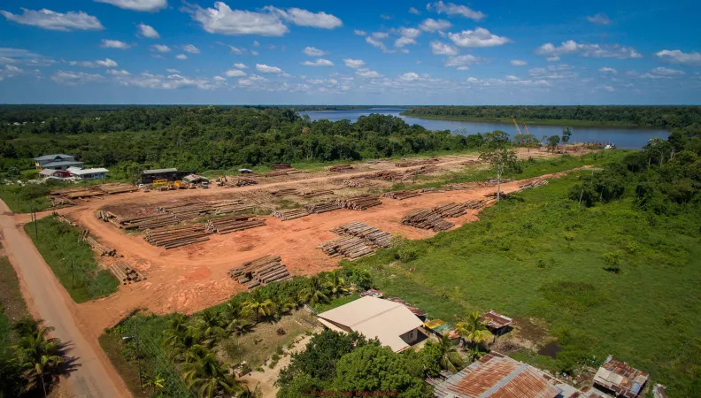 Exploitation forestière