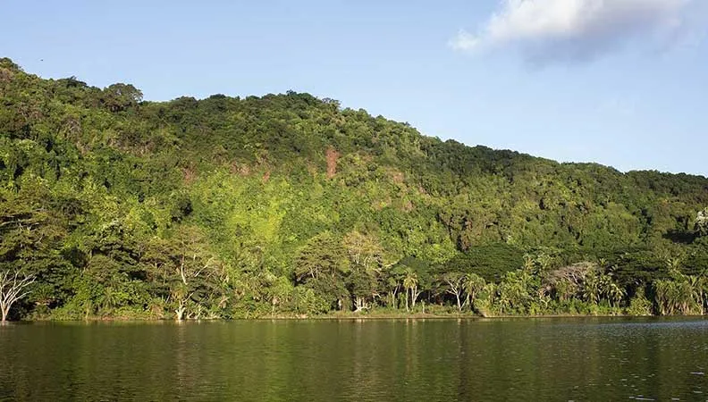 Ce prjet vise à concilier les enjeux de conservation de la biodiversité et la valorisation durable des activités socio-économiques dans les trois îles de l’Union des Comores.