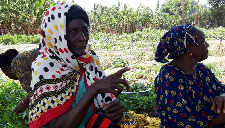 Guinée : avec AdaptAction, le maraîchage local s’adapte au changement climatique