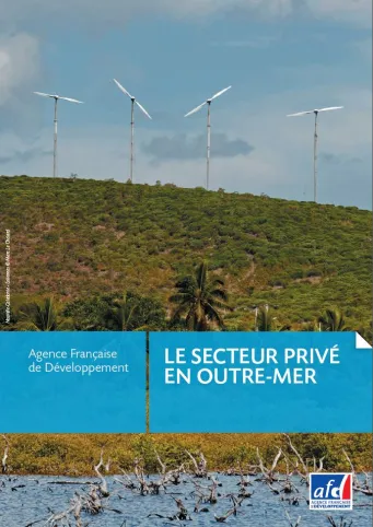 Le secteur privé en Outre-mer plaquette couverture
