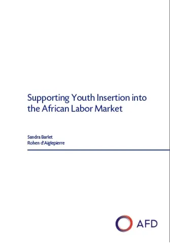 youth-insertion-african-labor-market