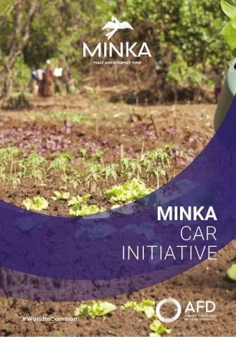 Minka CAR Initiative