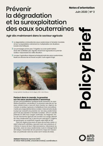 Couv Policy_Brief_3_FR