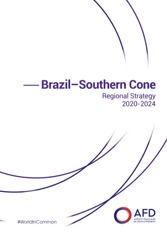 Brazil–Southern Cone Regional Strategy2020-2024