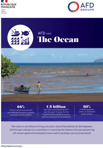 AFD and the Ocean