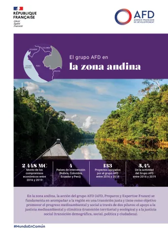 El grupo AFD en la zona andina