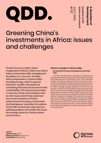 Greening China’s investments in Africa: issues and challenges