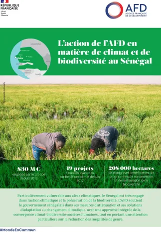 L'AFD et le climat et la biodiversité au Sénégal