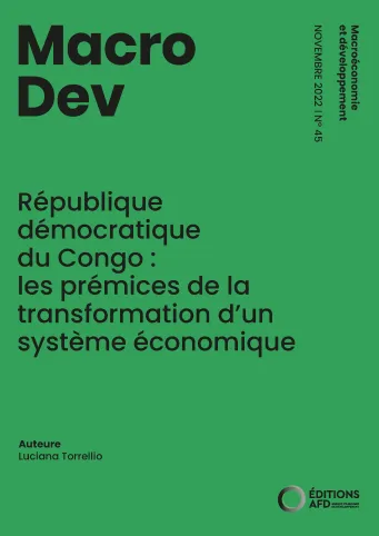 République démocratique du Congo : les prémices de la transformation d’un système économique 