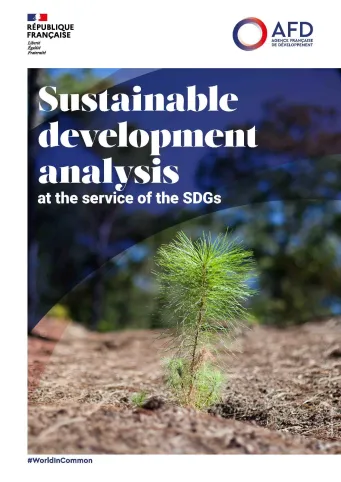 Sustainable Development Analysis