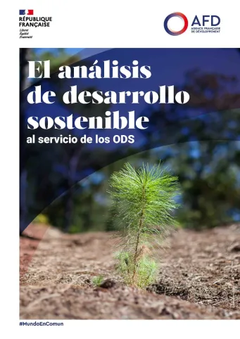 El análisis de desarrollo sostenible