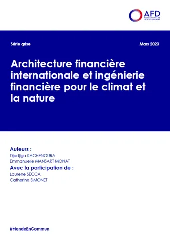Vignette série grise architecture financière climat FR