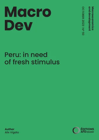 Couv MacroDev Peru VA