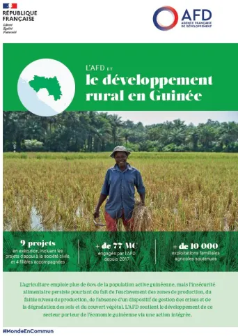 afd developpement rural guinee