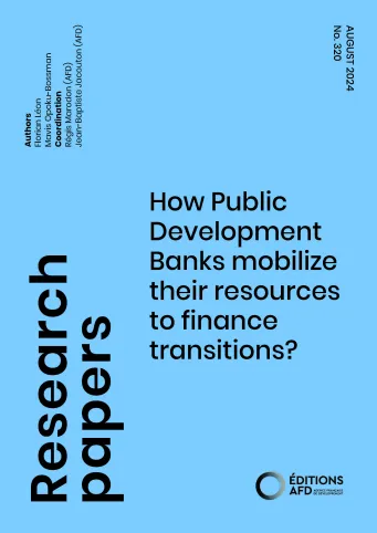 How-PDBs-mobilize-their-resources-to-finance-transitions_couv1