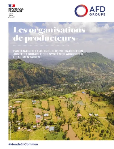 Les organisations de producteurs