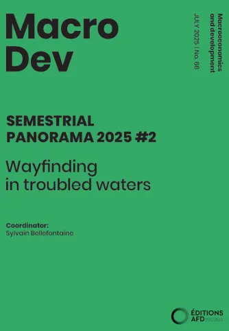 Wayfinding in troubled waters - SEMESTRIAL PANORAMA 2025 #2