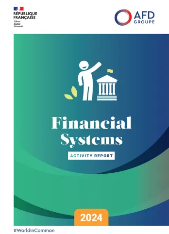Financial Systems – 2024 Activity Report
