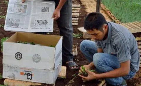 Professional training in Vietnam