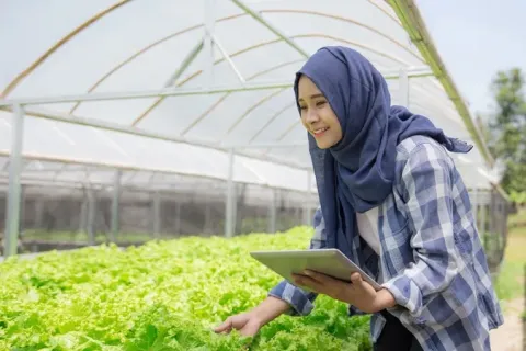 Agreenfi, illustration