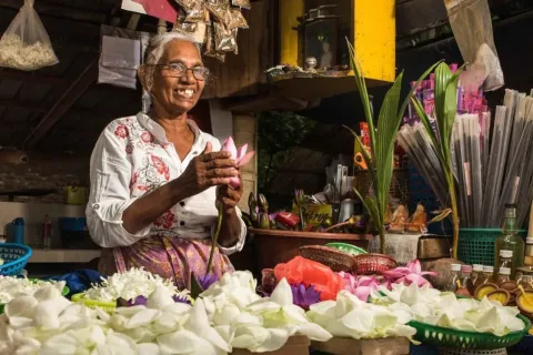 Programme de renforcement des capacités commerciales