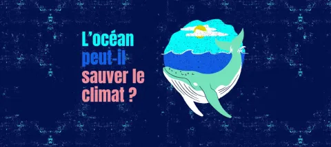 océan climat Tilt protection préservation