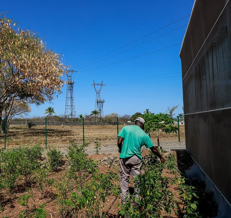 Centrale photovoltaïque couplée à une exploitation agricole au coeur d’un centre de détention à La Réunion