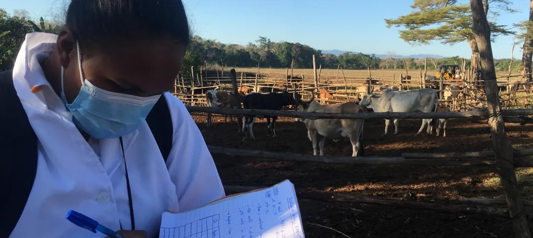 Maîtriser les épidémies dans l’océan Indien et l’Indopacifique